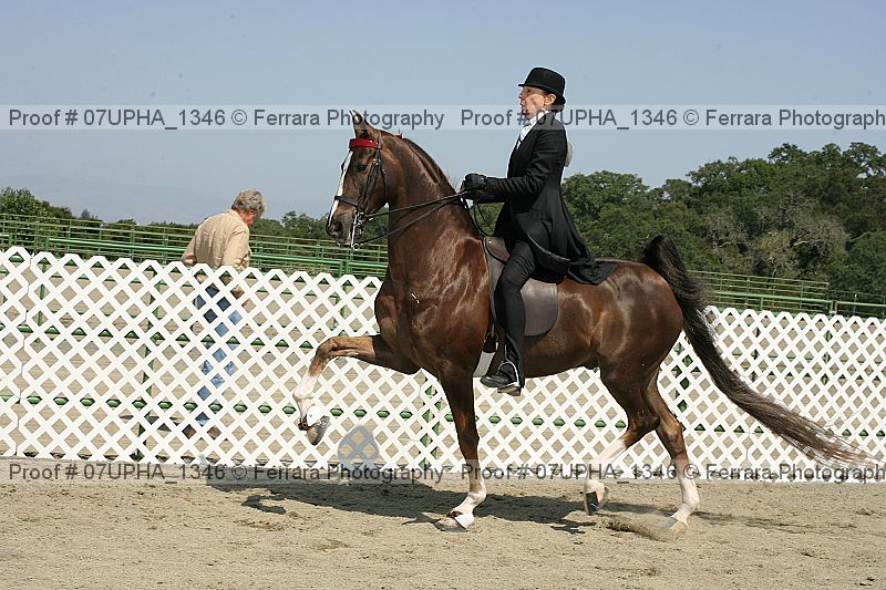 Proof Number 07upha_1346