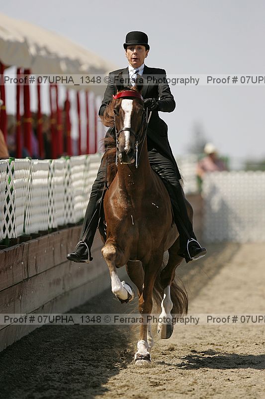 Proof Number 07upha_1348