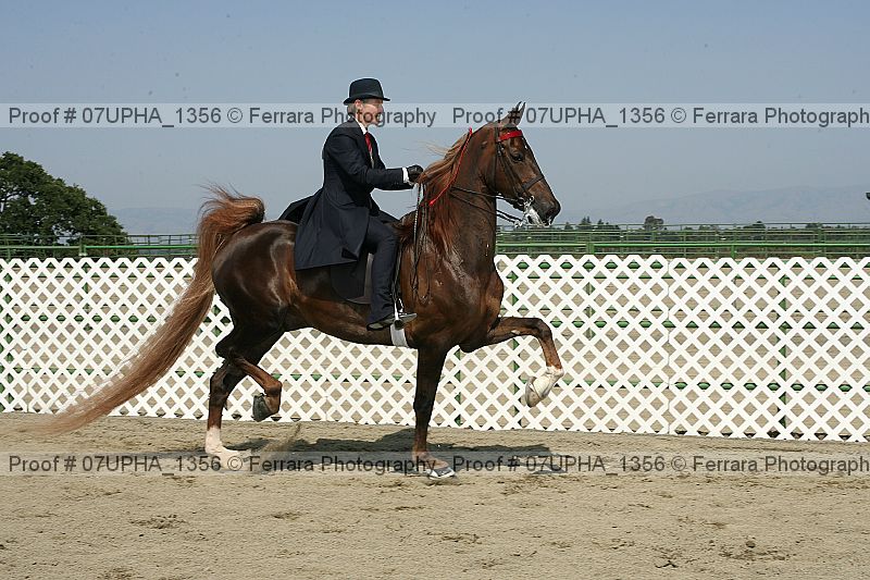 Proof Number 07upha_1356