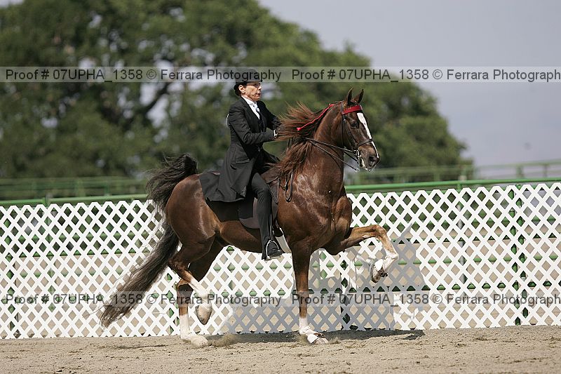 Proof Number 07upha_1358