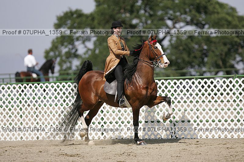 Proof Number 07upha_1359