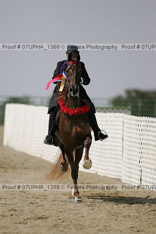 Proof Number 07upha_1368