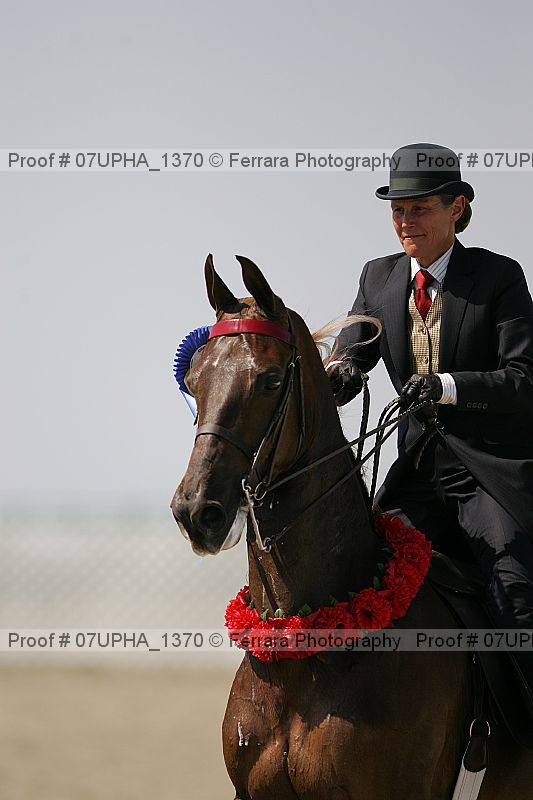 Proof Number 07upha_1370