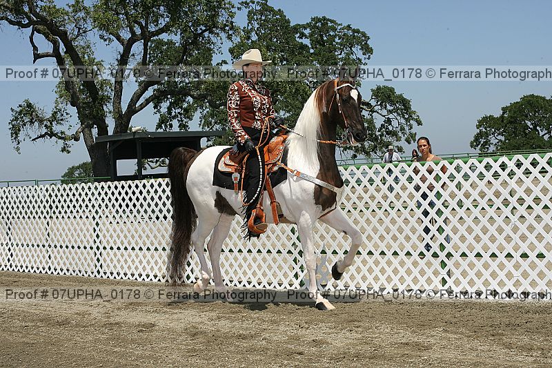 Proof Number 07upha_0178