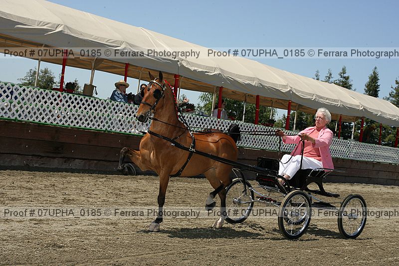 Proof Number 07upha_0185