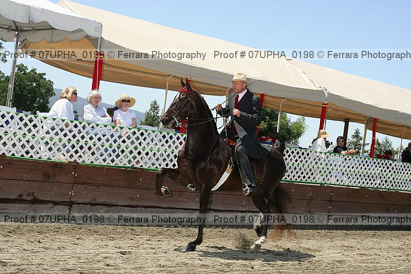 Proof Number 07upha_0198