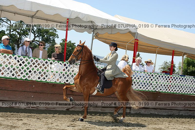 Proof Number 07upha_0199