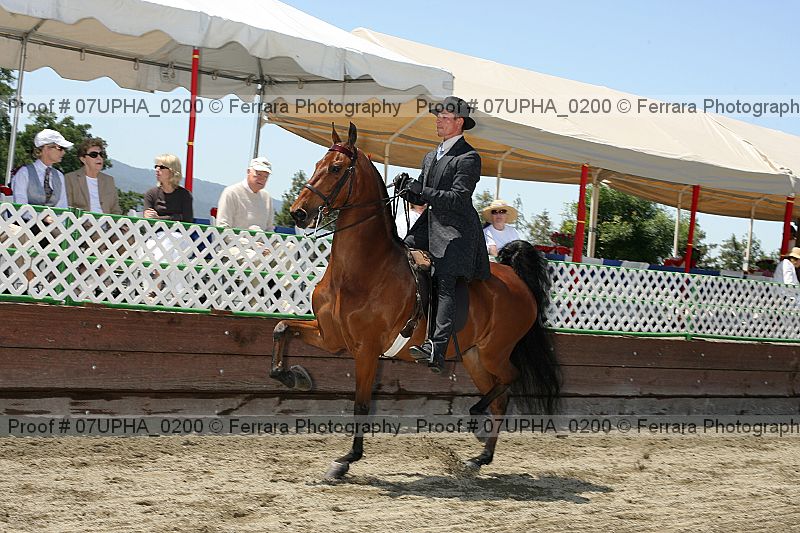 Proof Number 07upha_0200
