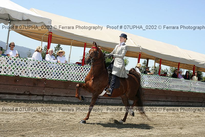 Proof Number 07upha_0202