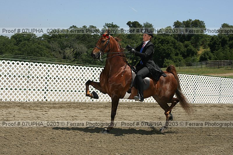 Proof Number 07upha_0203