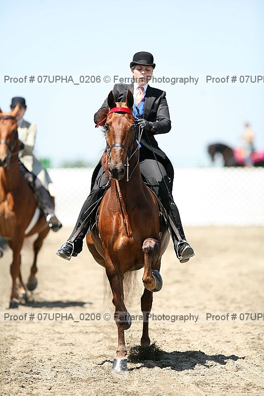 Proof Number 07upha_0206