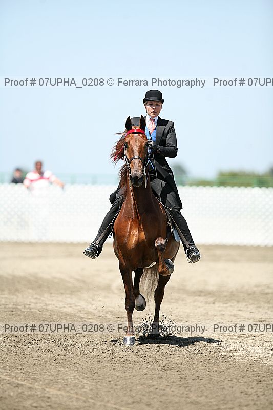 Proof Number 07upha_0208
