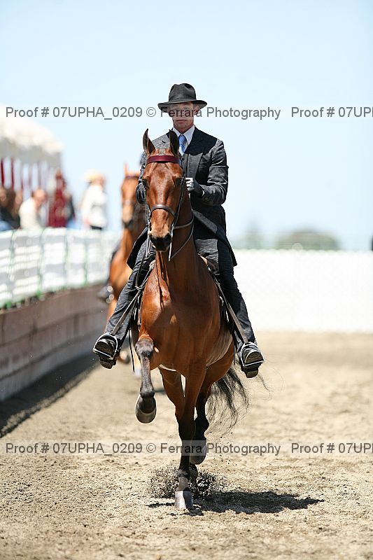 Proof Number 07upha_0209