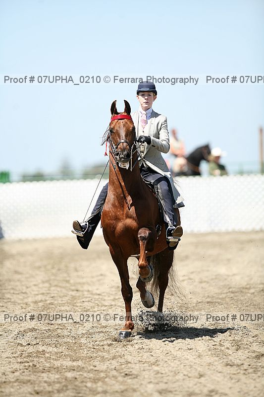 Proof Number 07upha_0210