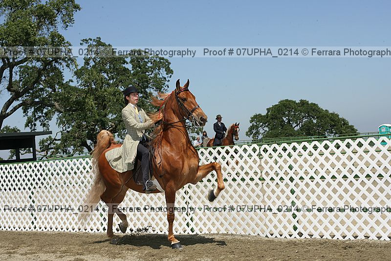 Proof Number 07upha_0214