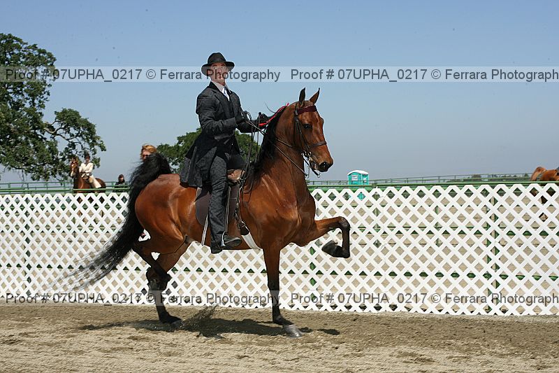 Proof Number 07upha_0217