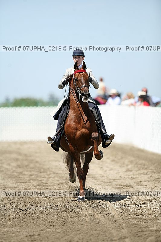 Proof Number 07upha_0218