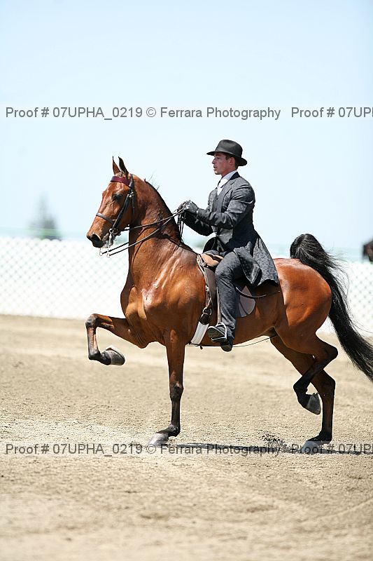 Proof Number 07upha_0219
