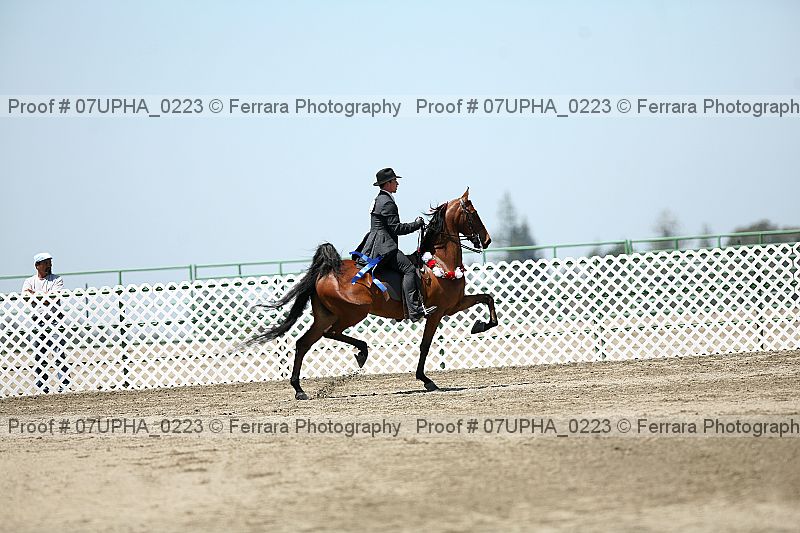 Proof Number 07upha_0223