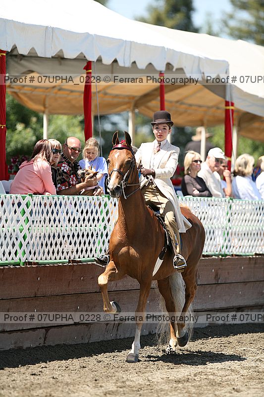 Proof Number 07upha_0228