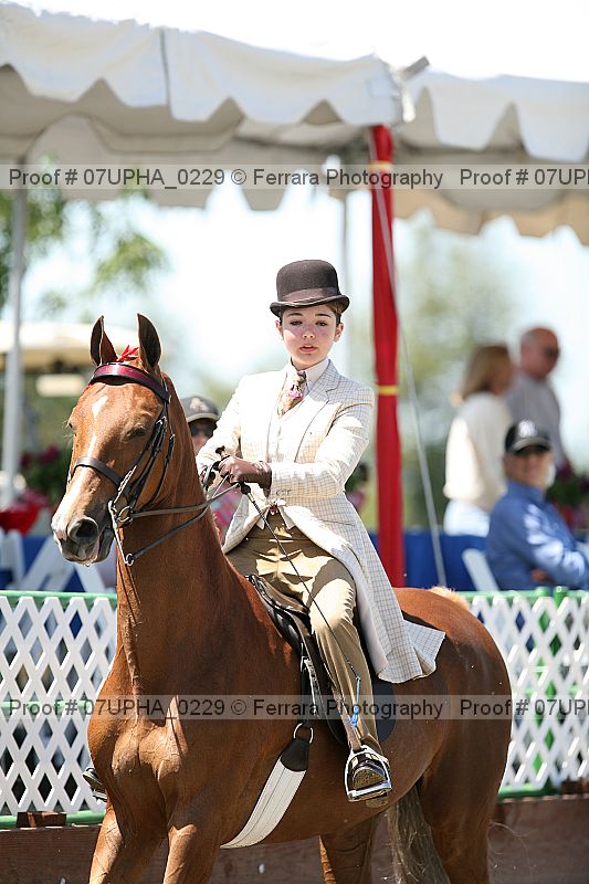 Proof Number 07upha_0229