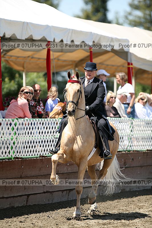 Proof Number 07upha_0231