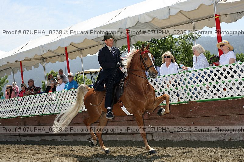 Proof Number 07upha_0238