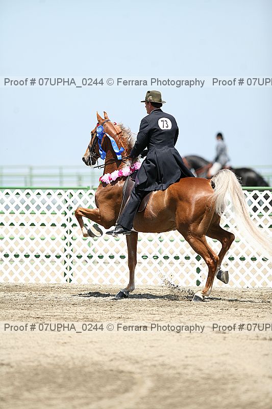 Proof Number 07upha_0244