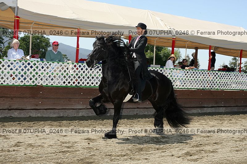 Proof Number 07upha_0246
