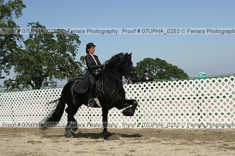 Proof Number 07upha_0253