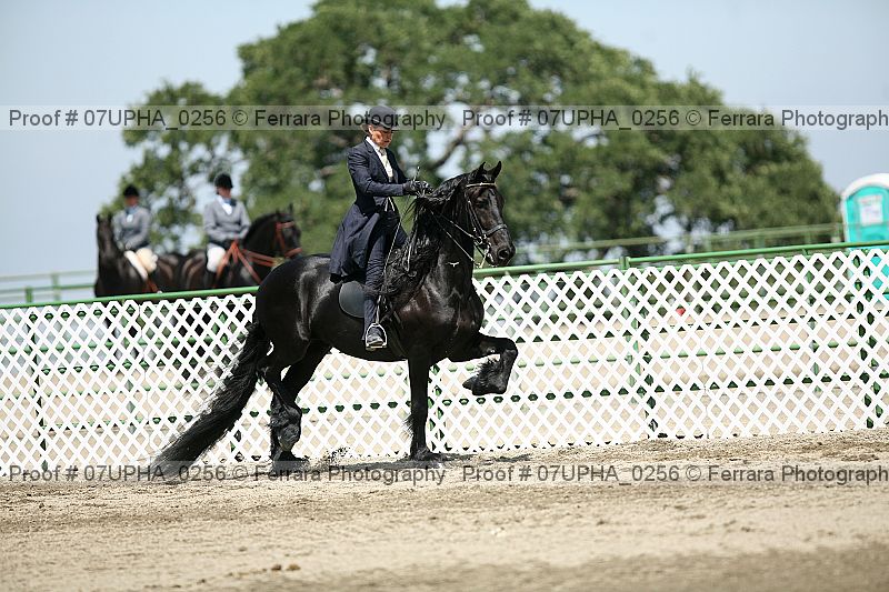 Proof Number 07upha_0256