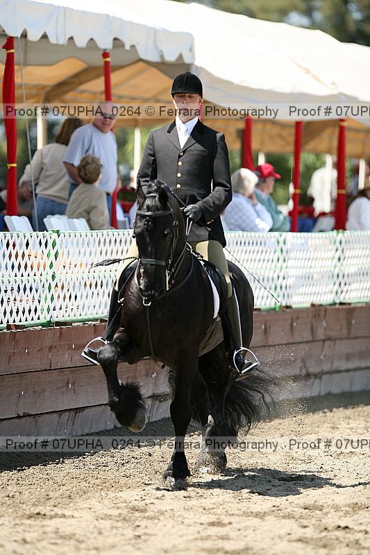 Proof Number 07upha_0264