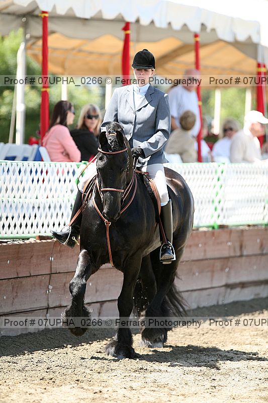 Proof Number 07upha_0266