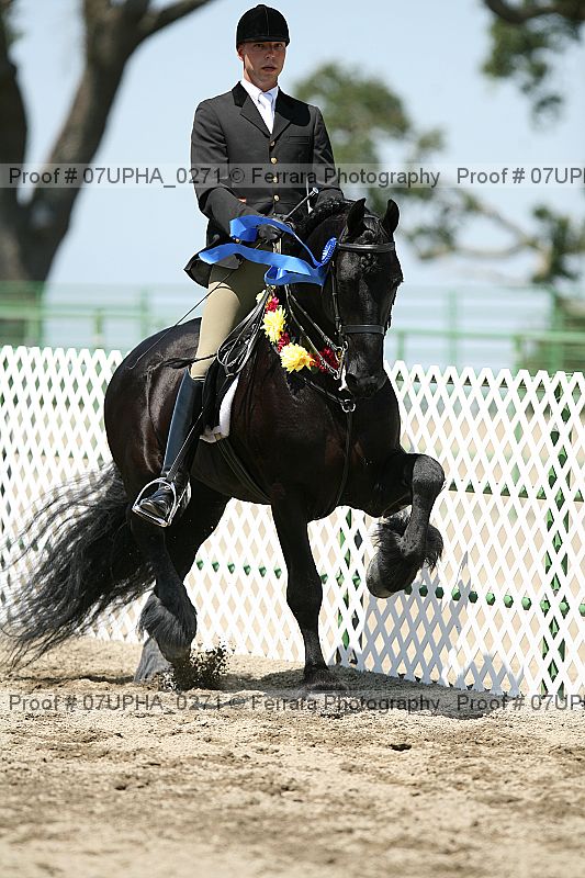 Proof Number 07upha_0271
