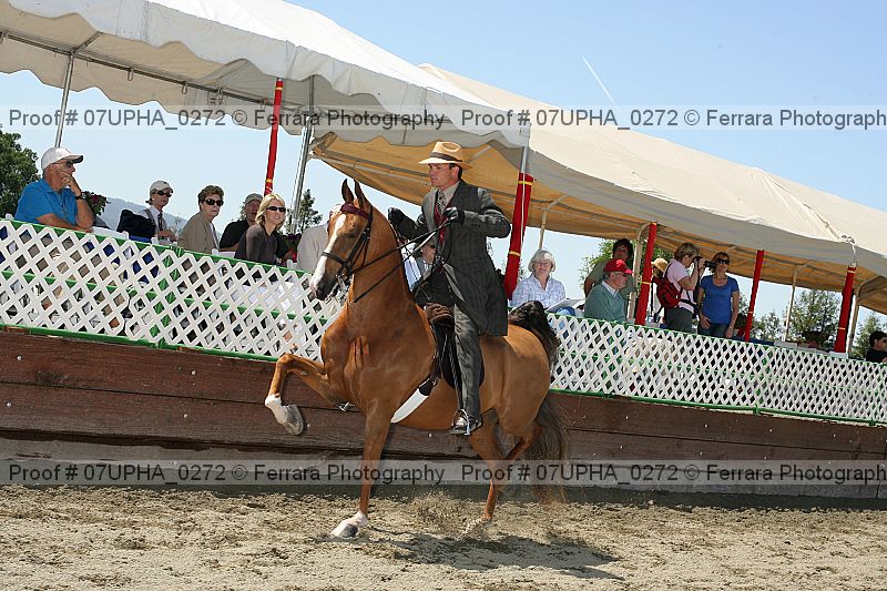 Proof Number 07upha_0272