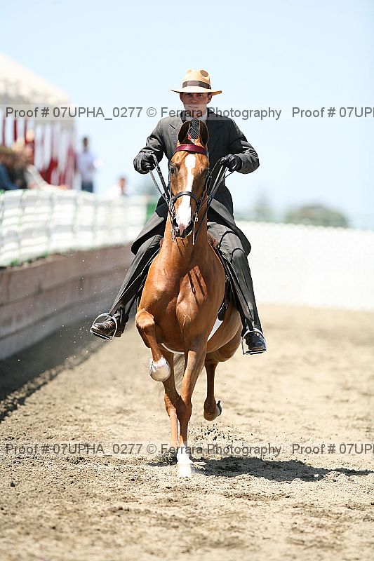 Proof Number 07upha_0277