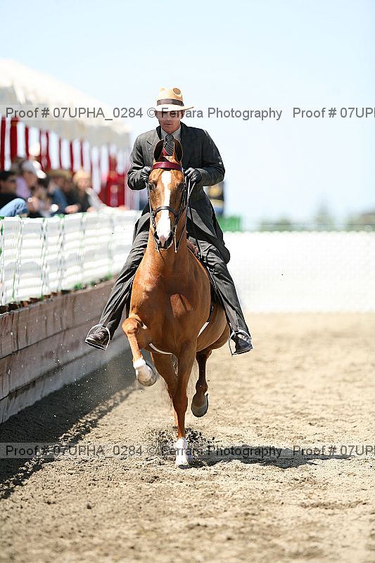 Proof Number 07upha_0284
