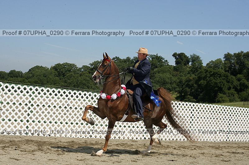 Proof Number 07upha_0290