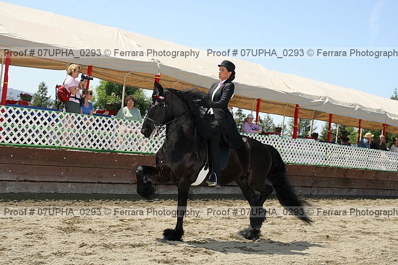 Proof Number 07upha_0293