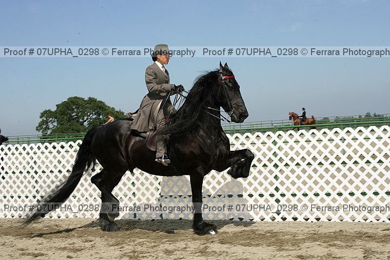 Proof Number 07upha_0298