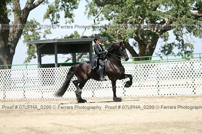 Proof Number 07upha_0299