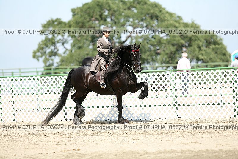 Proof Number 07upha_0302