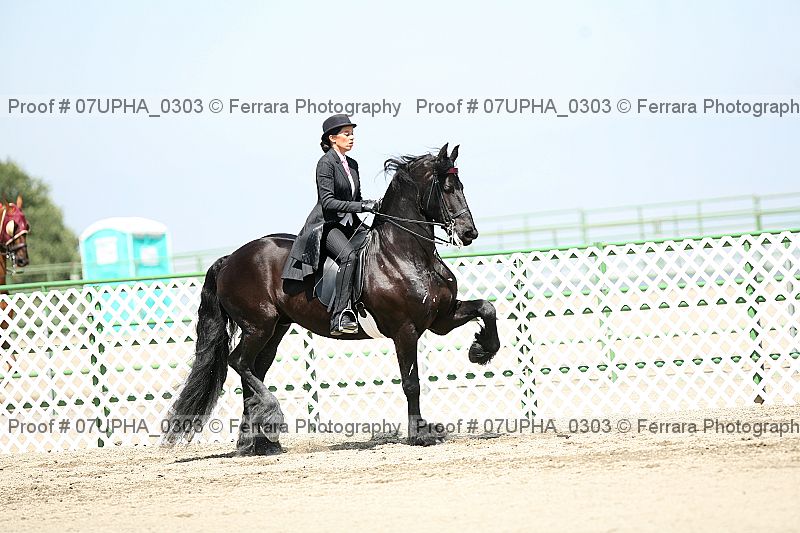 Proof Number 07upha_0303