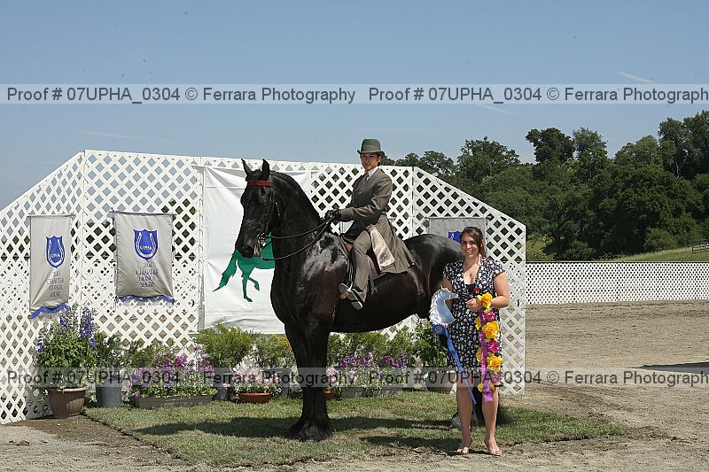 Proof Number 07upha_0304