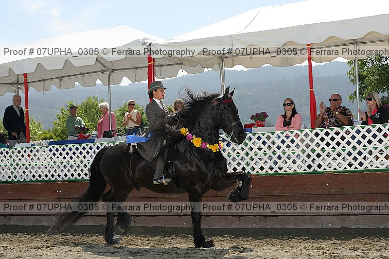 Proof Number 07upha_0305