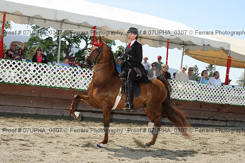 Proof Number 07upha_0307