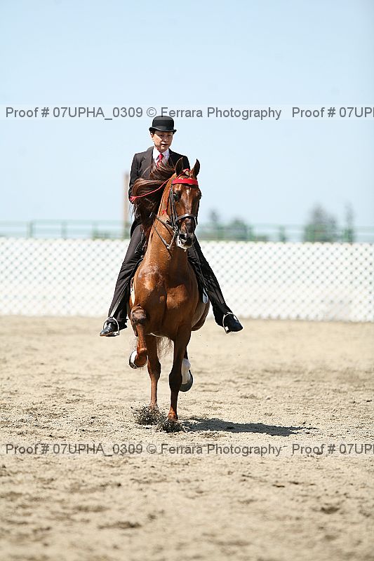 Proof Number 07upha_0309