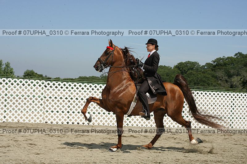 Proof Number 07upha_0310