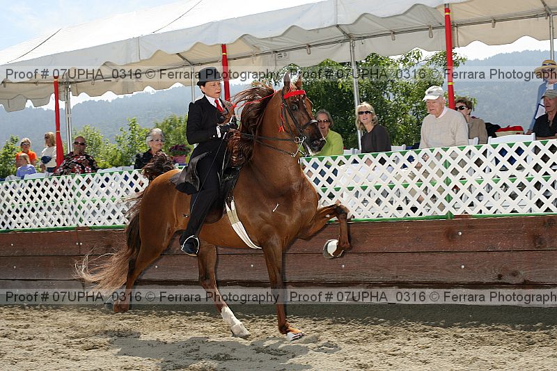 Proof Number 07upha_0316