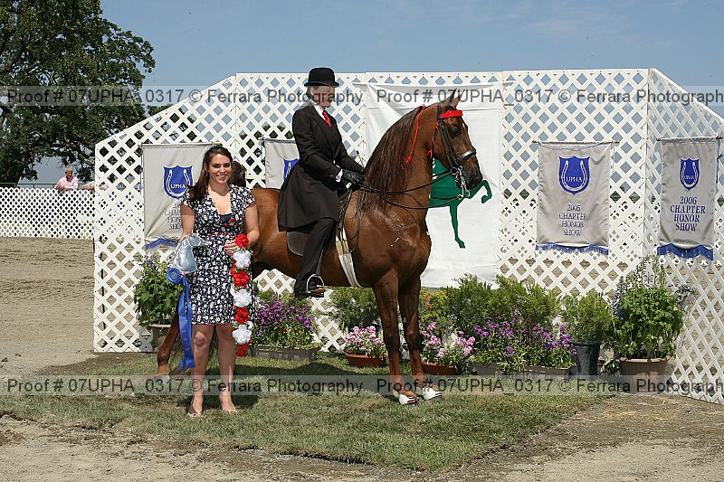 Proof Number 07upha_0317